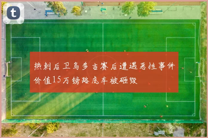 热刺后卫乌多吉赛后遭遇恶性事件价值15万镑路虎车被砸毁